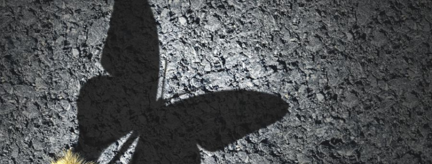 Transformation in eine neue Zeit