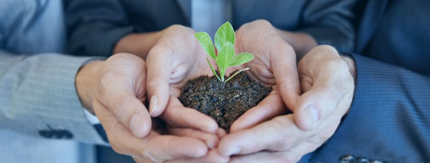 iBGM in Unternehmen und Verwaltungen