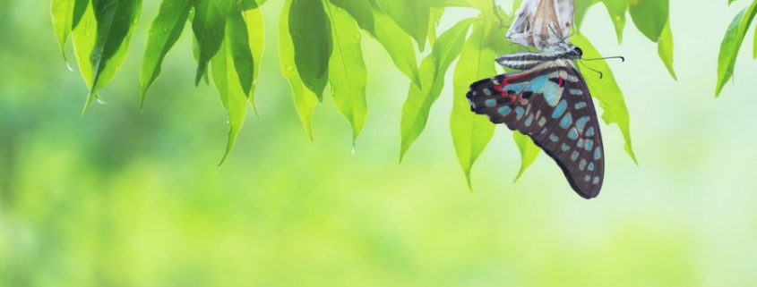 Faktor „M = Menschlichkeit“